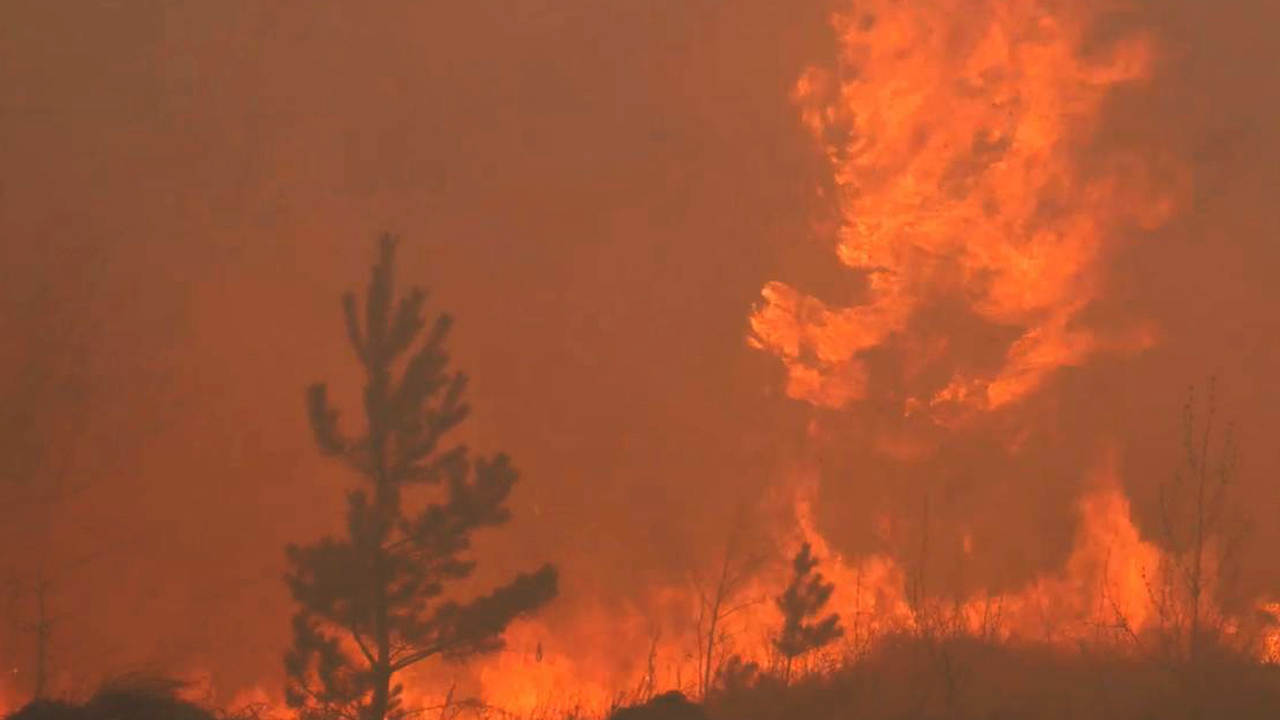 Жертвами природного пожара в Казахстане стали 14 человек