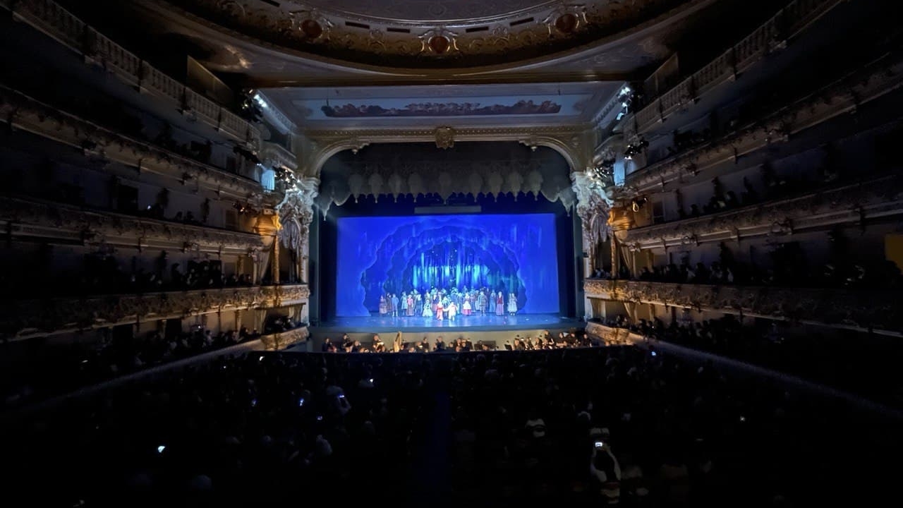 Мариинский театр за три года потерял 12 млрд рублей на продаже билетов