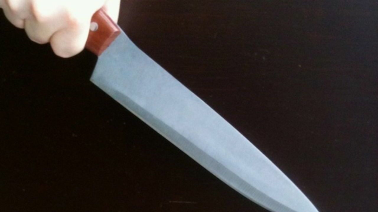 «Десятки ударов ножом»: пятиклассница в Химках изрезала сверстницу